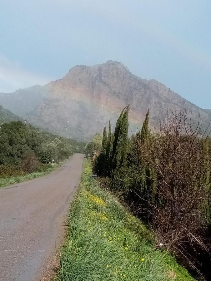Su Cappeddu Agriturismo San Giorgio  Εξωτερικό φωτογραφία